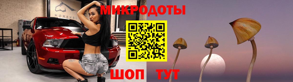 Новочеркасск  Псилоцибиновые грибы Psilocybine cubensis  Вход с VPN 